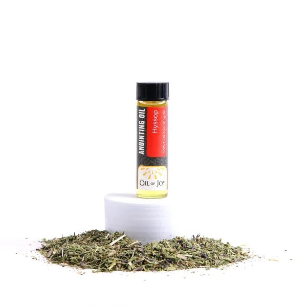 Anointing Oil Hyssop 1/4 oz (Pack of 6) - Re-vived