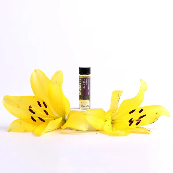 Anointing Oil Lily of the Valley 1/4 oz (Pack of 6) - Re-vived