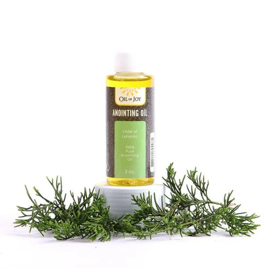 Anointing Oil Cedars of Lebanon 2 oz Bottle - Re-vived