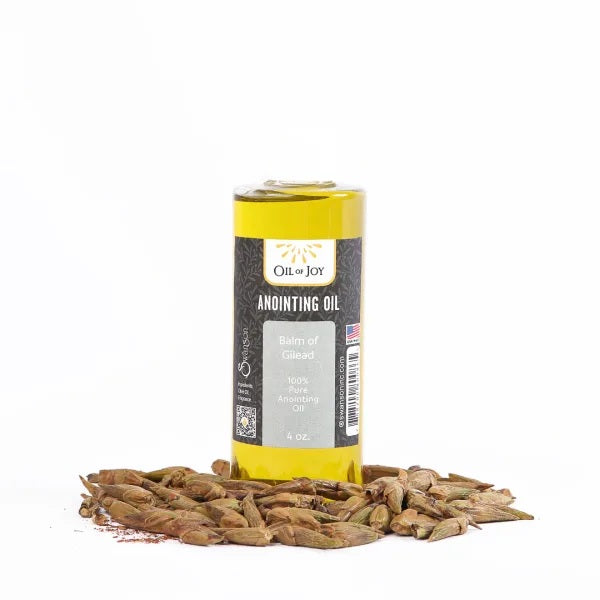 Anointing Oil Balm of Gilead 4 oz Bottle - Re-vived