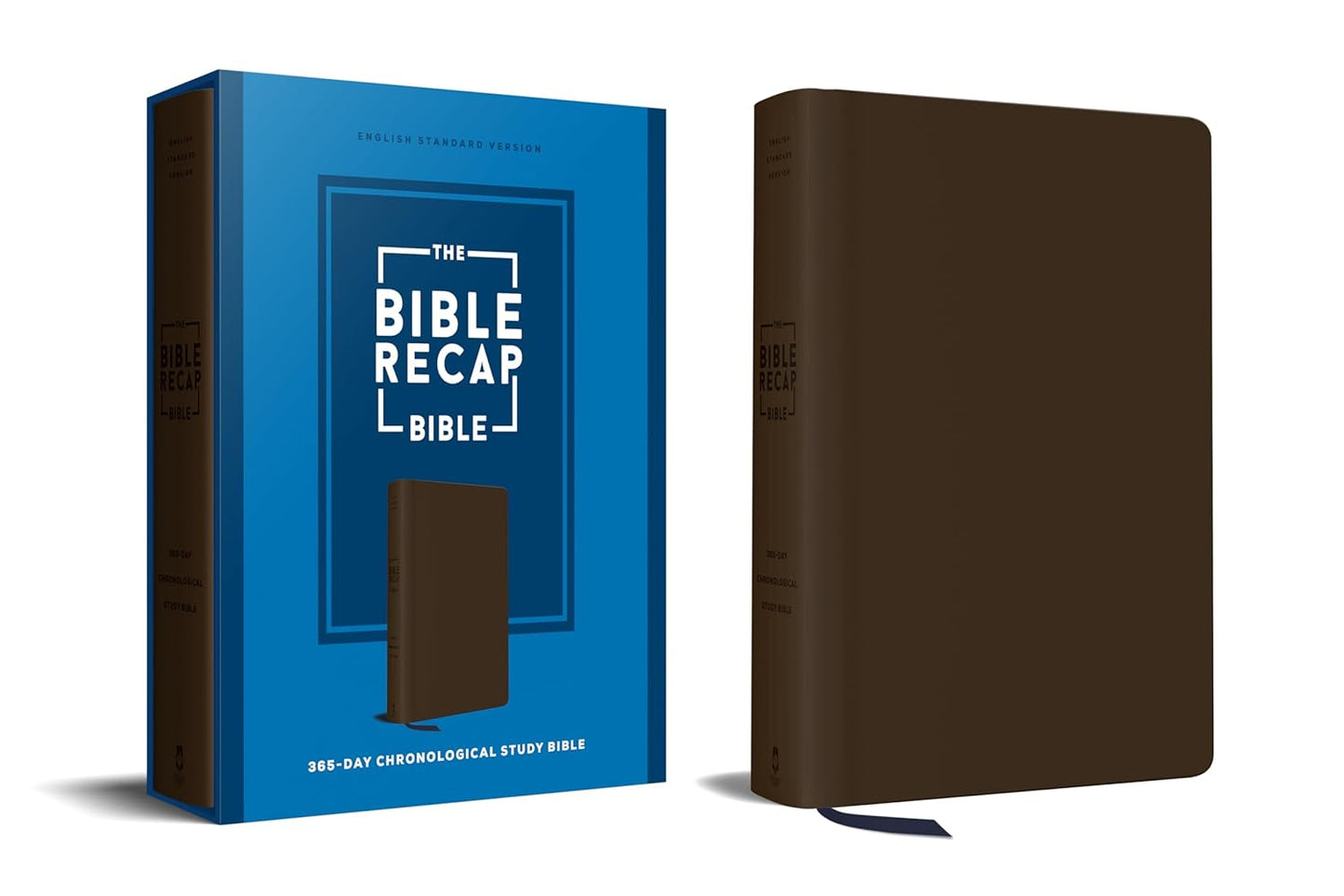 The Bible Recap 365-Day Chronological Study Bible - Re-vived