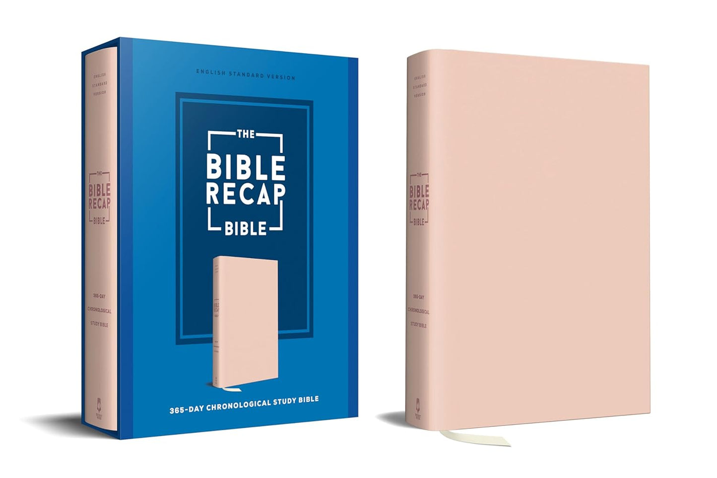 The Bible Recap 365-Day Chronological Study Bible - Re-vived