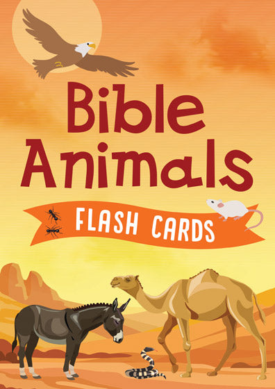 Bible Animals Flash Cards - Re-vived
