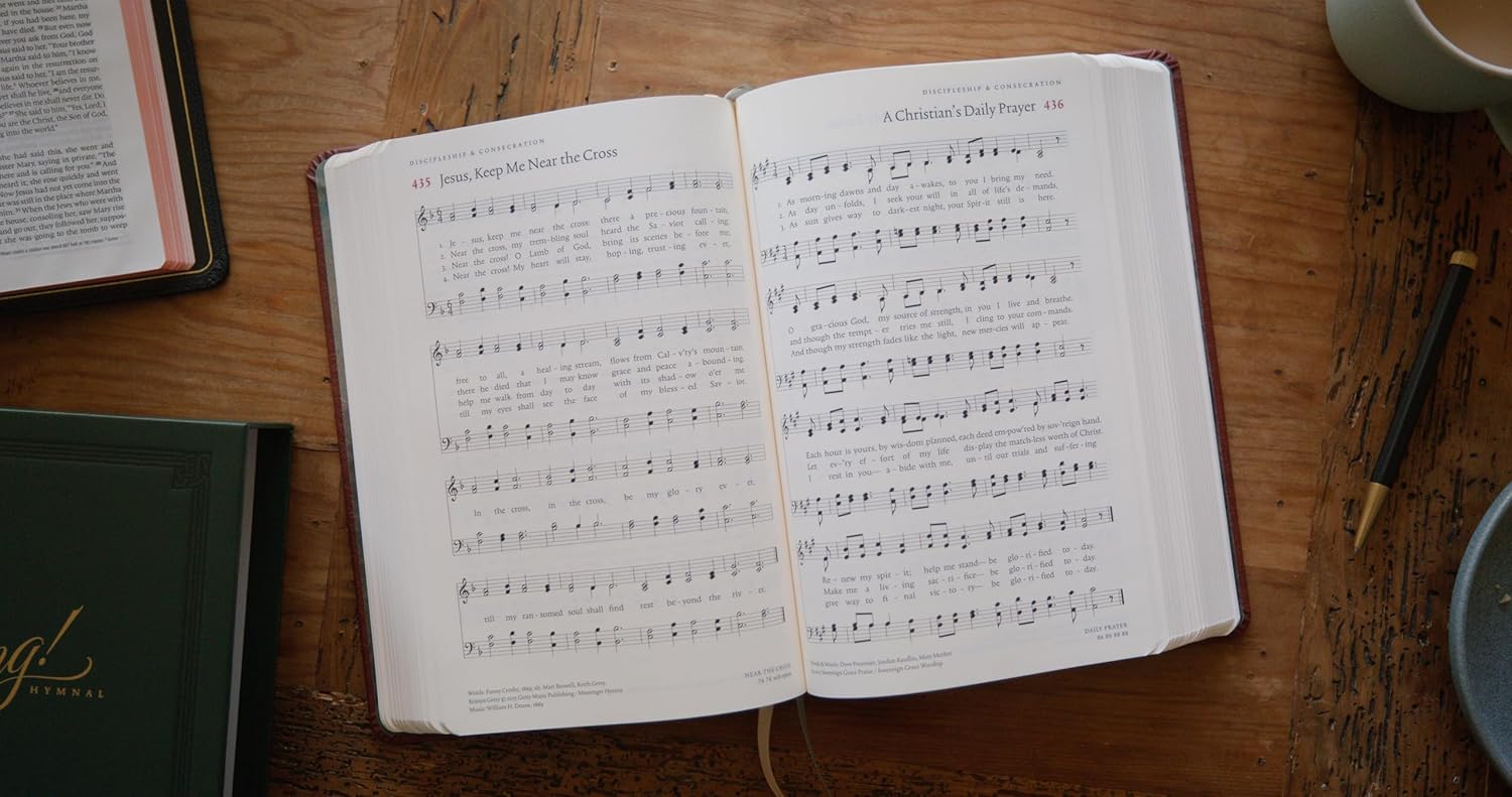 Sing! Hymnal, The (Trutone Over Board, Brown) - Re-vived