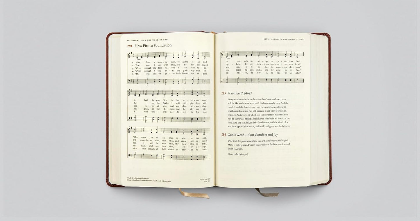 Sing! Hymnal, The (Trutone Over Board, Brown) - Re-vived