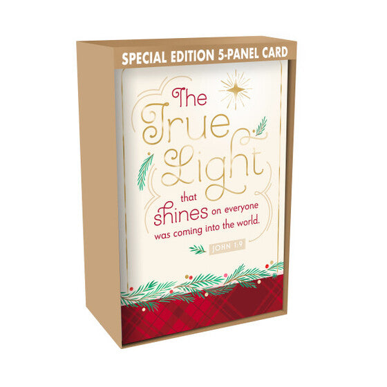 The True Light Christmas Cards (Pack of 18) - Re-vived