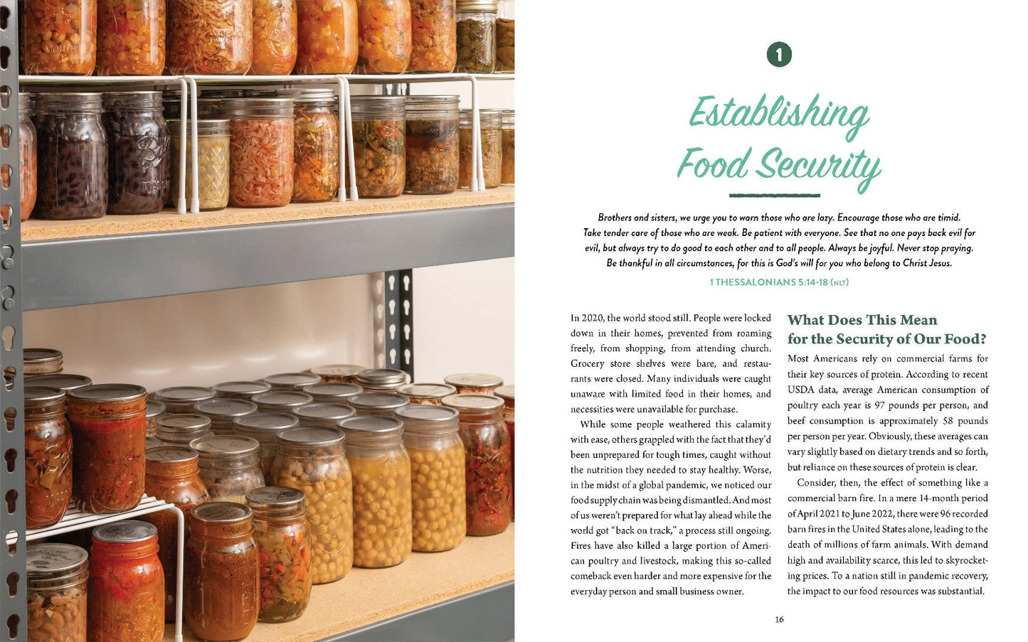 From Seed to Table - Re-vived