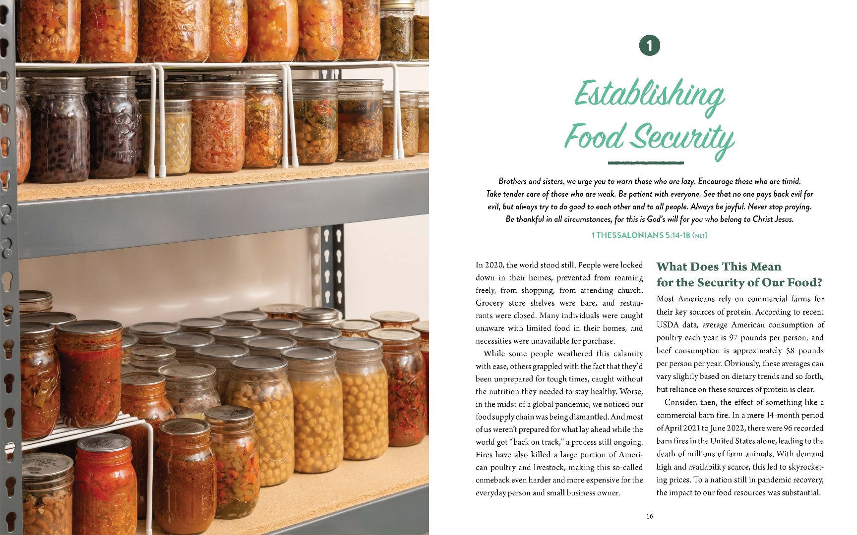 From Seed to Table - Re-vived