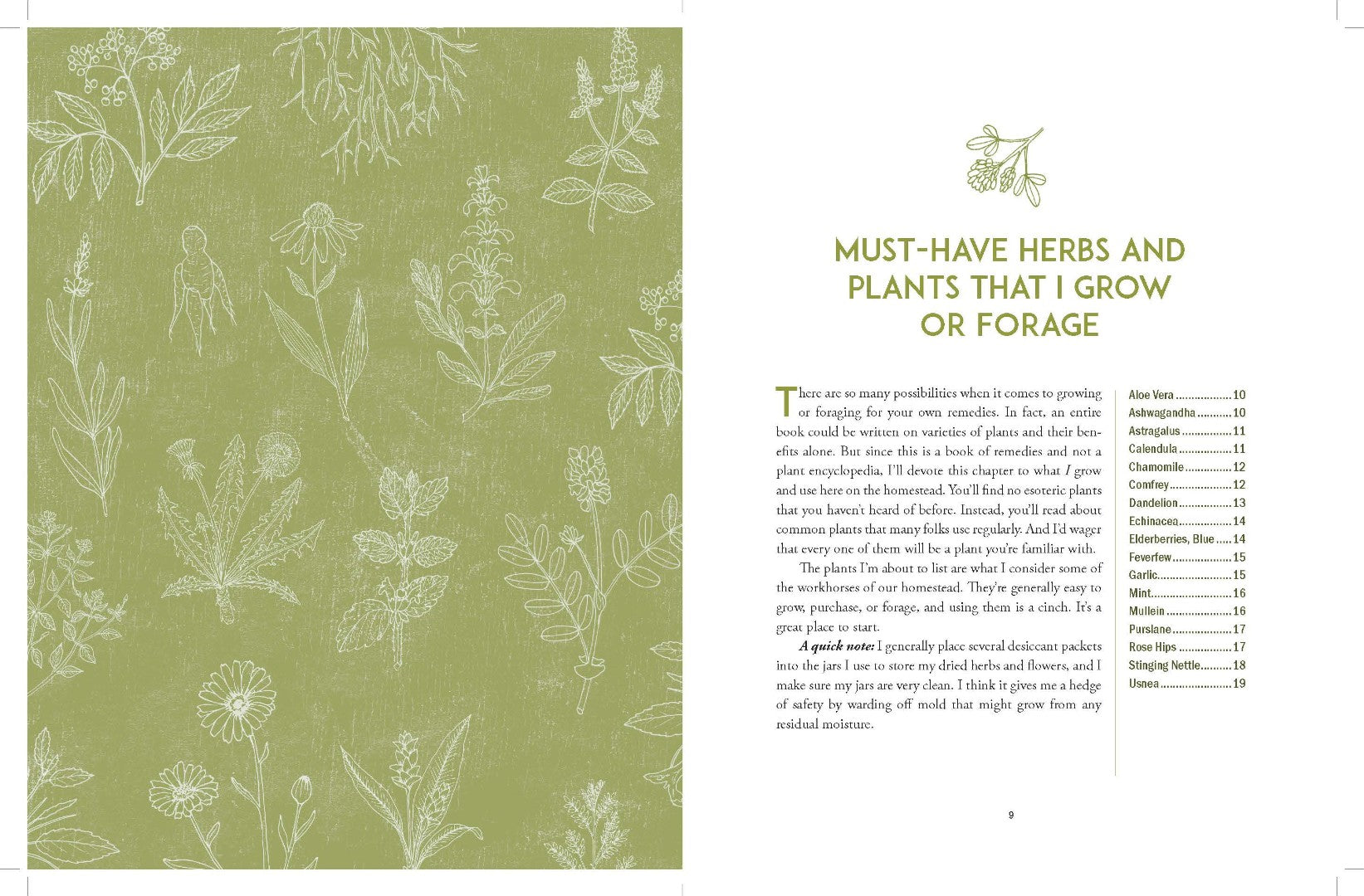 The Homestead Herbal Remedies Guide - Re-vived