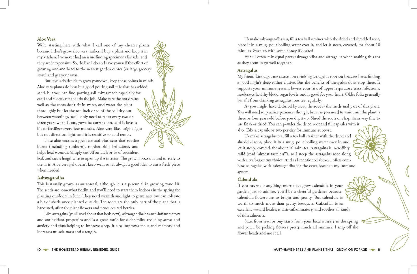 The Homestead Herbal Remedies Guide - Re-vived
