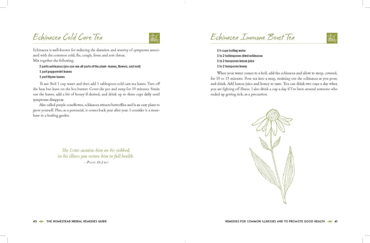 The Homestead Herbal Remedies Guide - Re-vived
