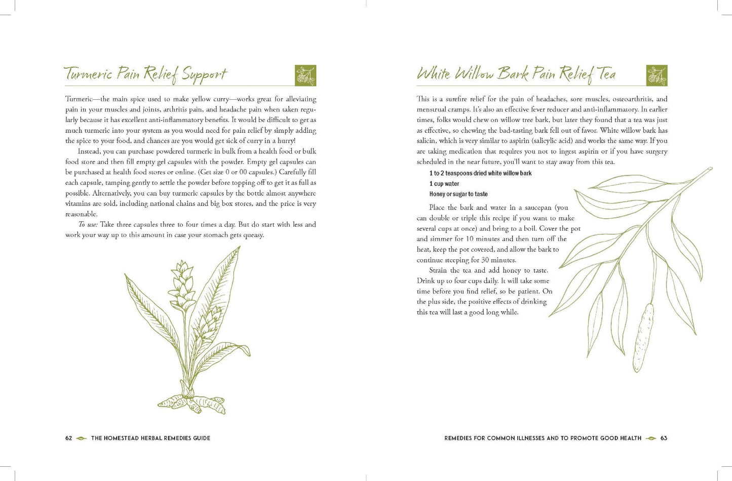 The Homestead Herbal Remedies Guide - Re-vived