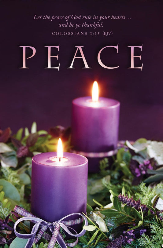 Peace Advent Bulletin (pack of 100) - Re-vived