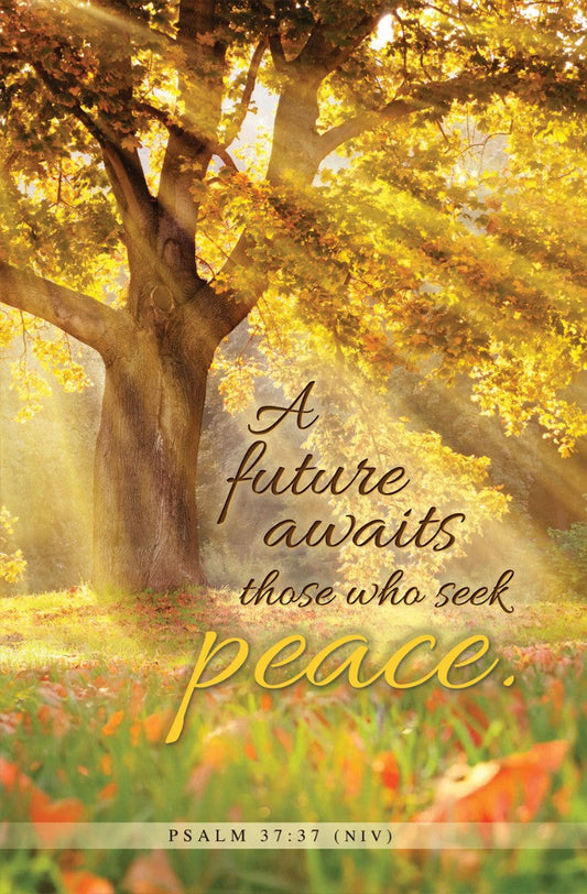 A Future Awaits Bulletin (pack of 100) - Re-vived