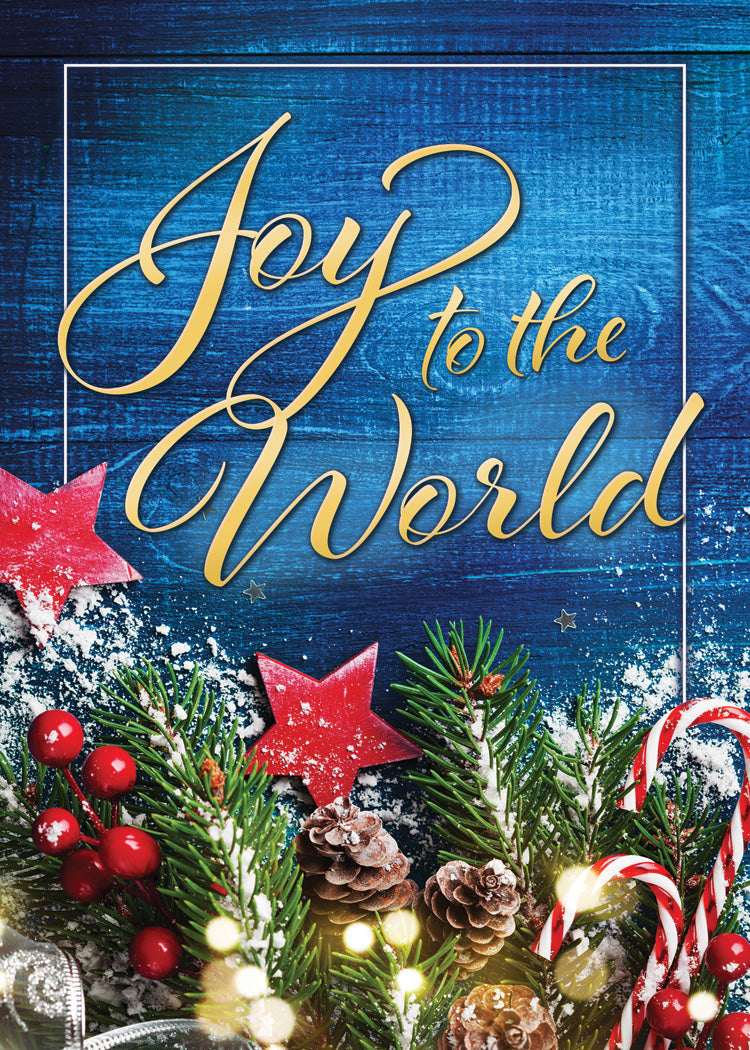 Joy to the World Christmas Boxed Cards - Re-vived