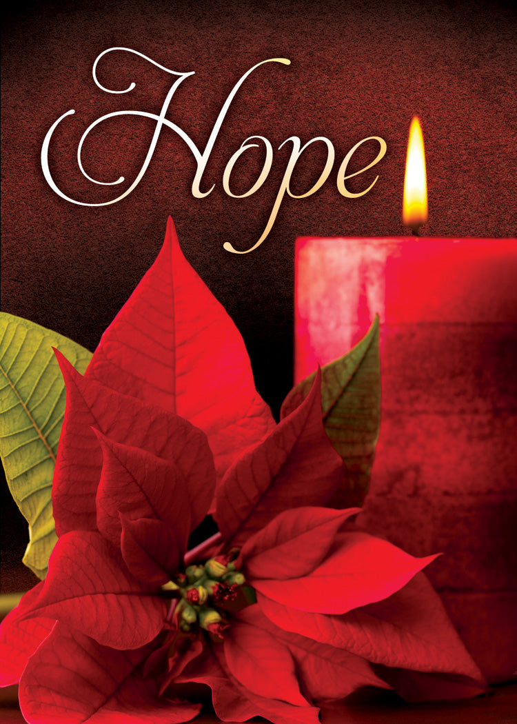 Great Hope Christmas Boxed Cards - Re-vived