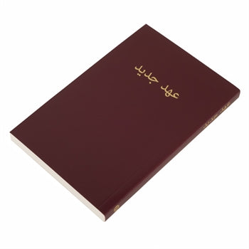 Persian (Farsi) New Testament - Burgundy - Re-vived