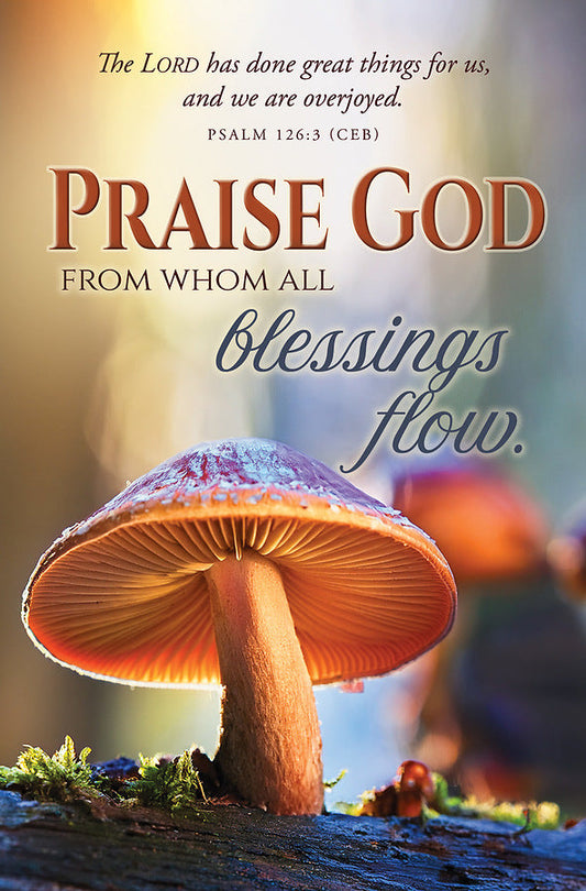 Praise God from Whom Fall Bulletin (pack of 100) - Re-vived