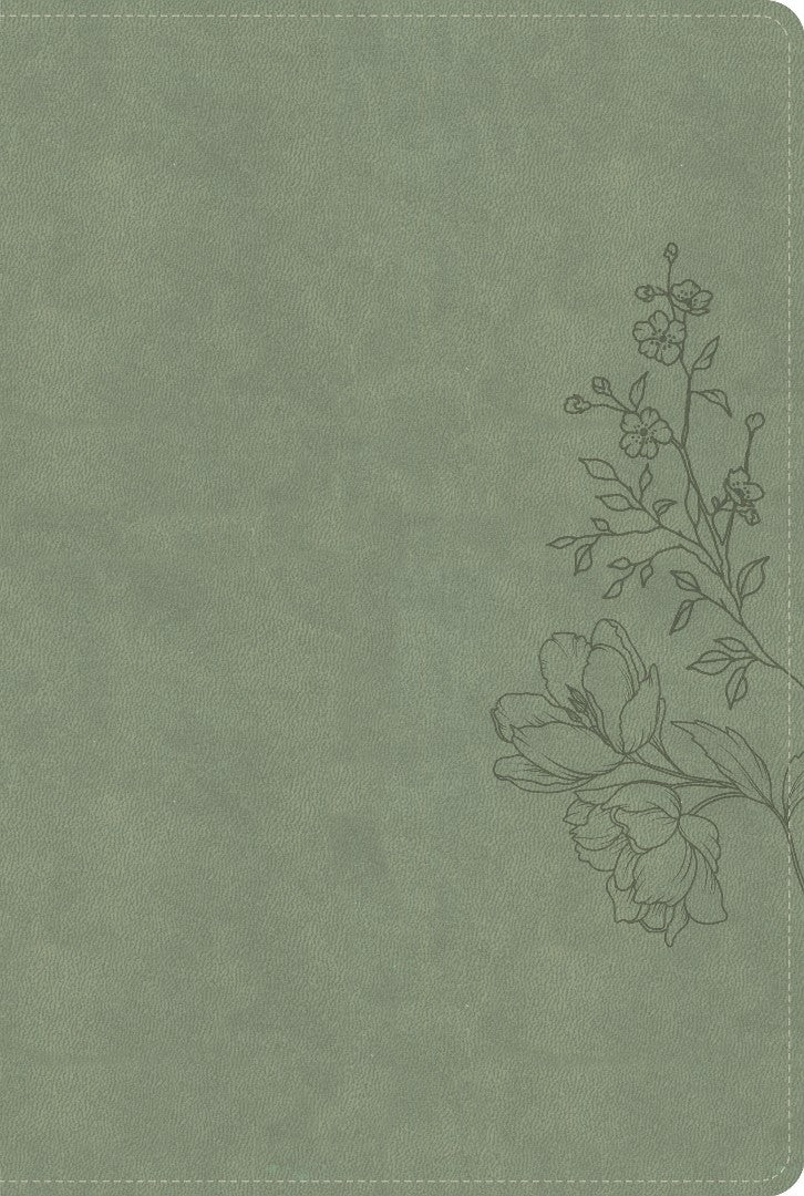 CSB Large Print Thinline Bible, Digital Study Edition, Sage - Re-vived