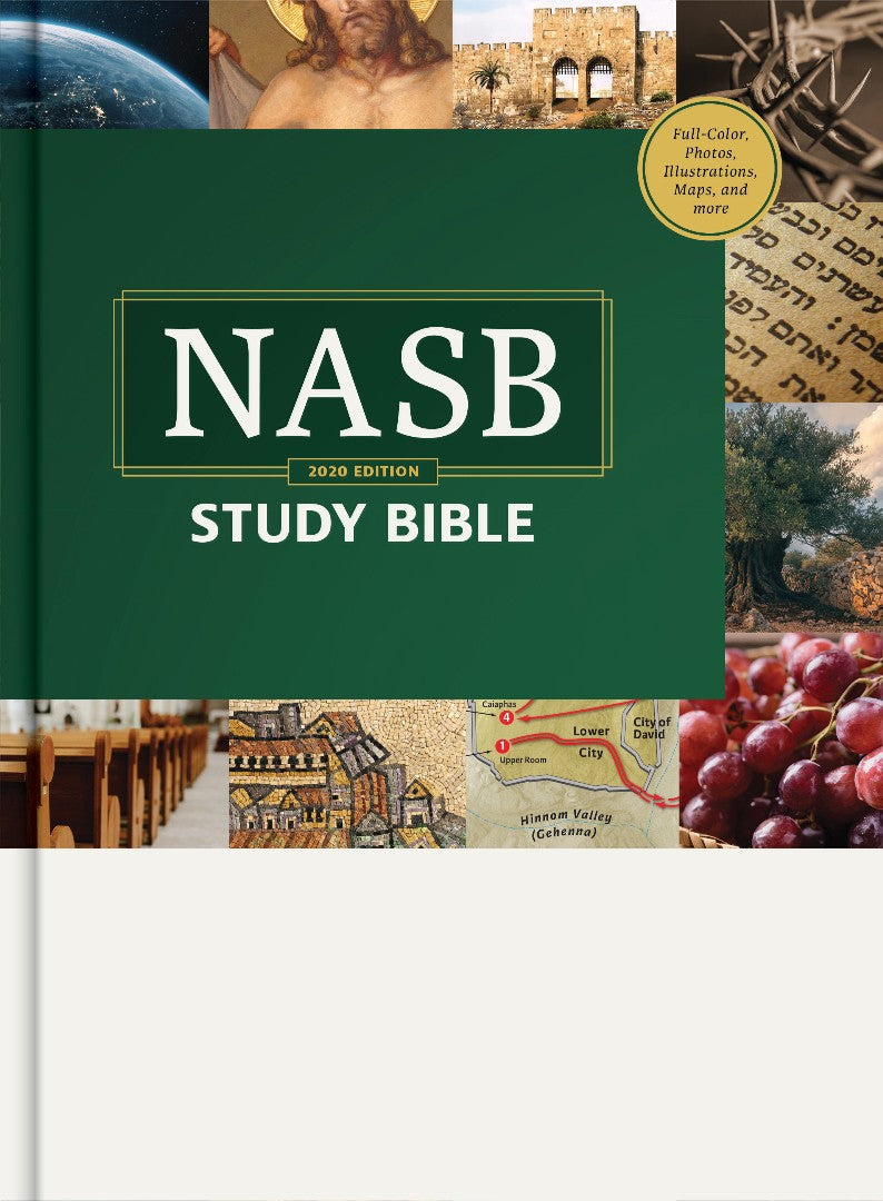 NASB Study Bible, Hardcover - Re-vived