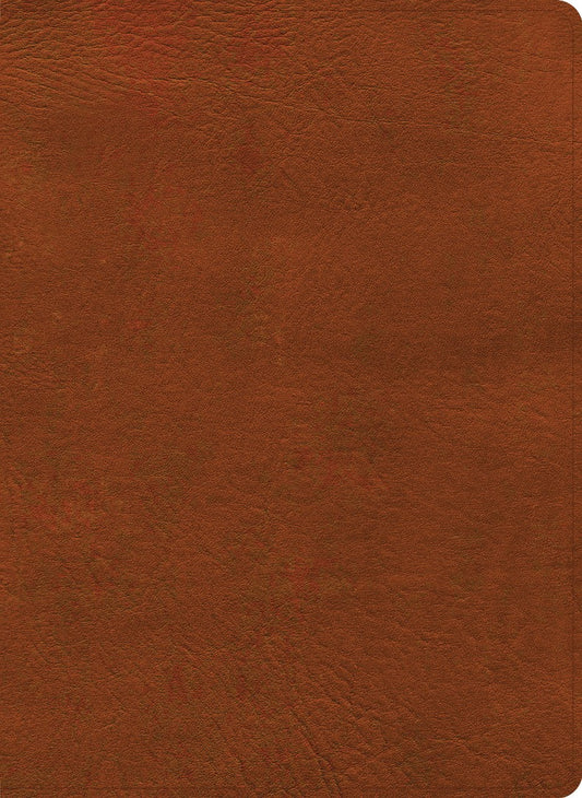 NASB Study Bible, Burnt Sienna Leathertouch, Indexed - Re-vived