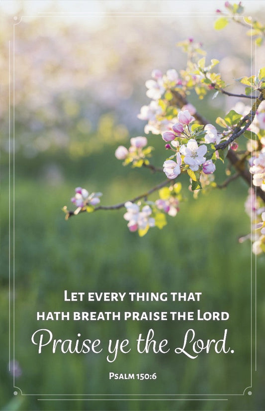 General Worship Bulletin: Let Every Thing (Pack of 100) - Re-vived