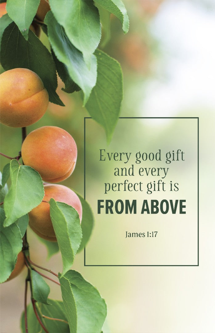 Evangelism Bulletin: Every (Pack of 100) - Re-vived