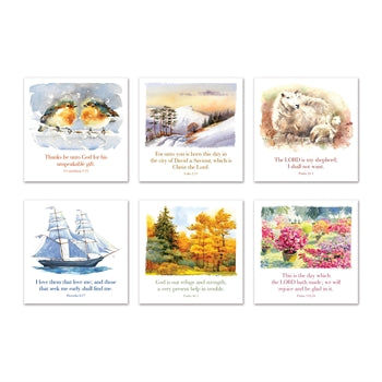 Mixed Greeting Cards (pack of 6) - Re-vived