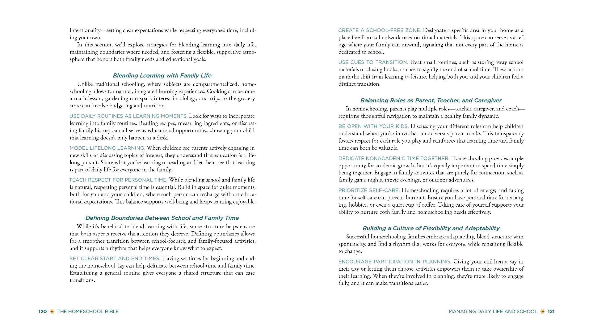 The Homeschool Bible - Re-vived