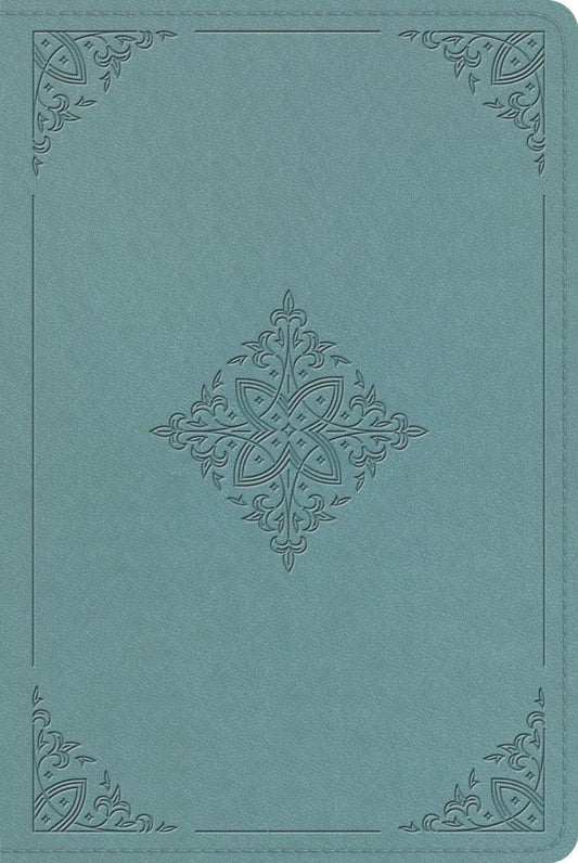 ESV Single Column Heritage Bible, Paris Sky - Re-vived