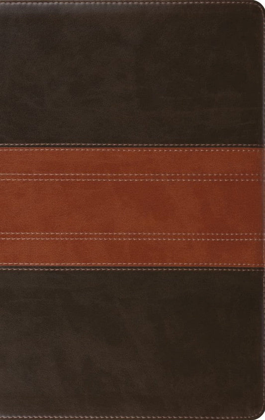 ESV Large Print Personal Size Bible, Red Letter, Forest/Tan - Re-vived