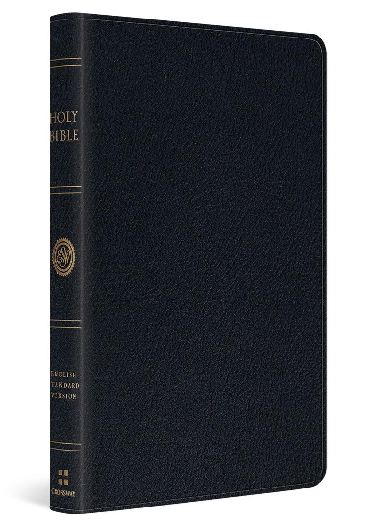 ESV Large Print Thinline Bible, Genuine Leather, Black - Re-vived