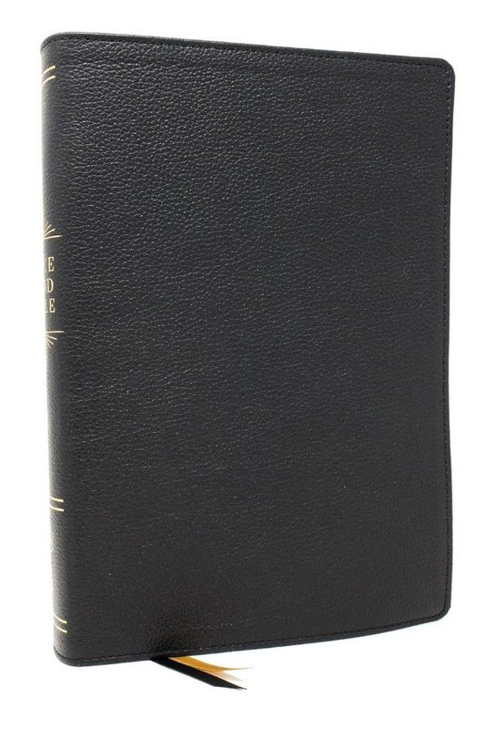 Peace Of God Bible - Re-vived