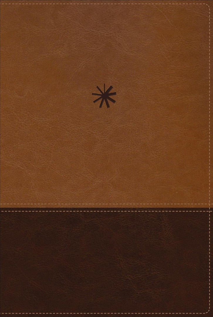 NBLA, Biblia CronolóGica De Estudio, Interior A Cuatro Color - Re-vived