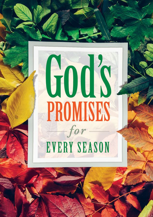 God's Promises for Every Season - Re-vived