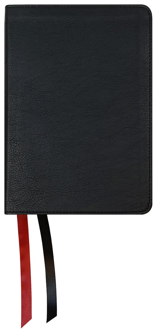 NASB 2020 Large Print Personal Size Bible, Black - Re-vived