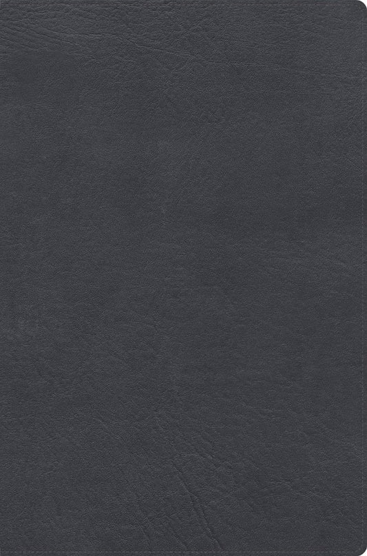 RVR 1960 Biblia De Estudio De Letra Gigante, Negro - Re-vived