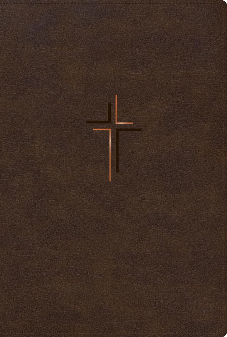 RVR 1960 Biblia Letra Grande, Tamaño Manual - Re-vived