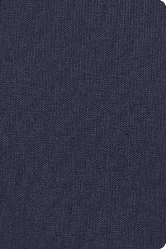 CSB Men's Daily Bible, Blue - Re-vived