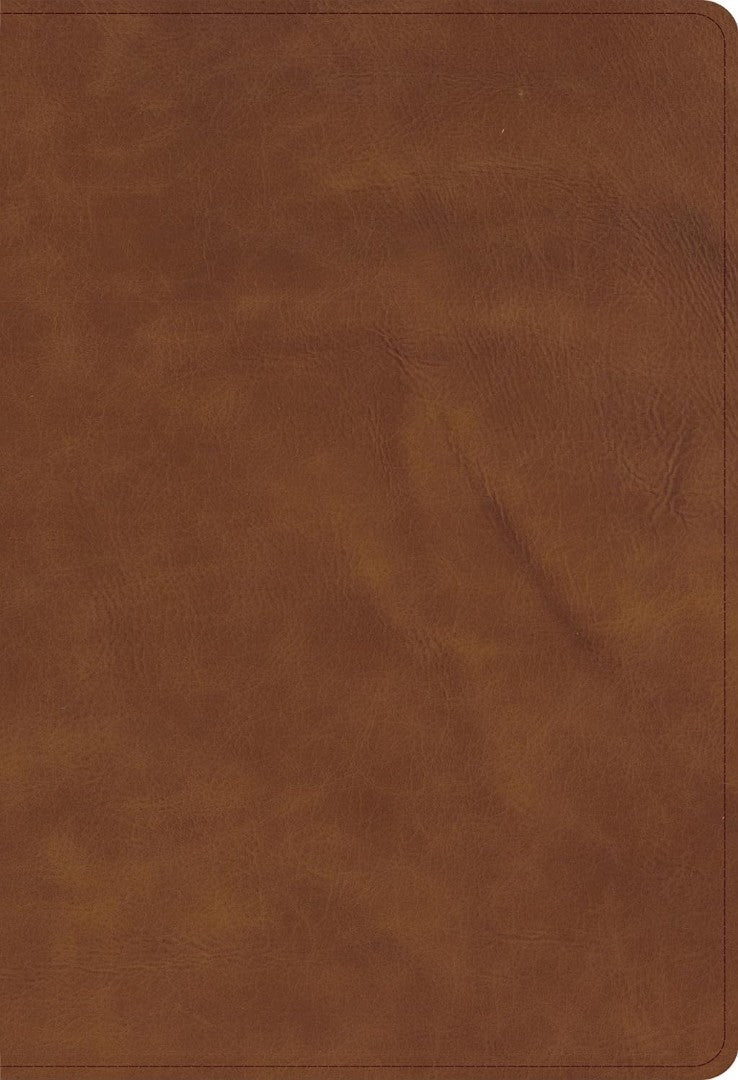 CSB Single-Column Compact Bible, Zipper Closure, Tan - Re-vived
