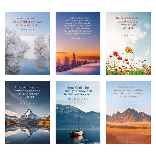 Greetings Cards: S Series (Mixed Pack Of 6) - Re-vived