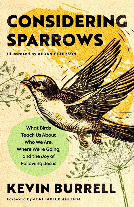 Considering Sparrows - Re-vived