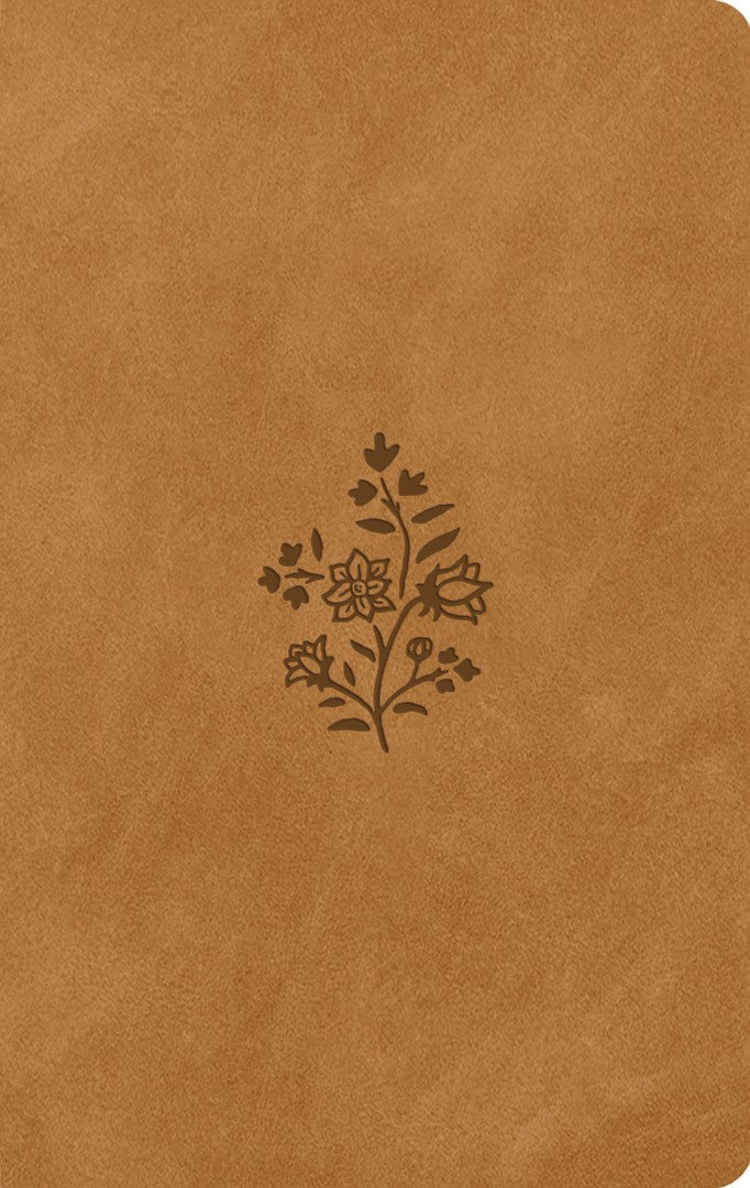 ESV Large Print Value Thinline Bible, Nubuck Caramel - Re-vived