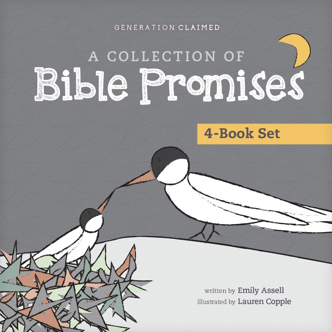 A Collection of Bible Promises 4-Book Set - Re-vived