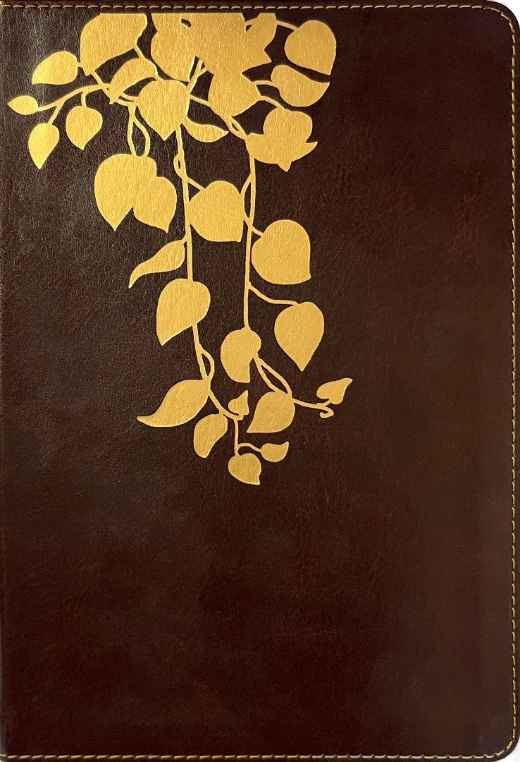 NLT Thrive Devotional Bible for Women, Filament Enabled - Re-vived