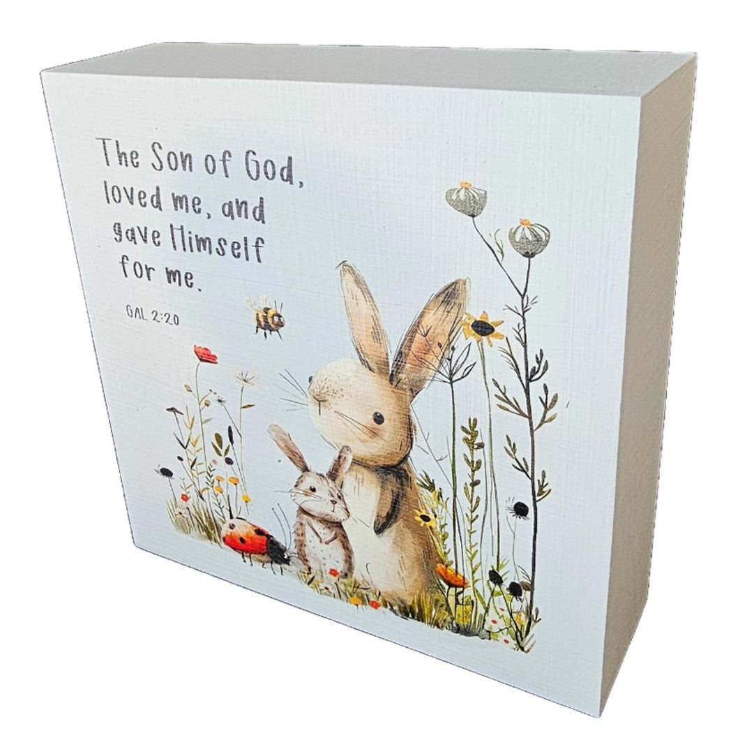 The Son Of God Loved Me - Rabbit & Mouse - Re-vived
