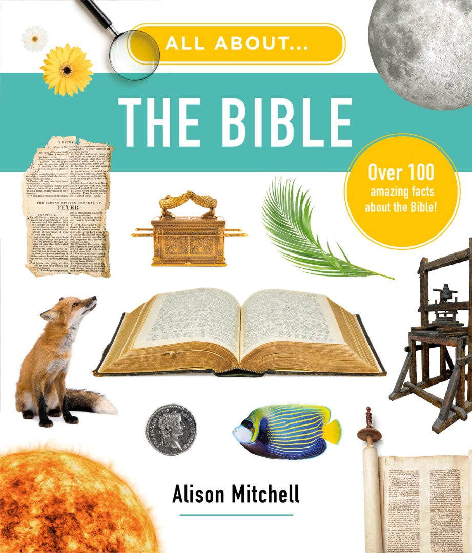 All About the Bible - Re-vived
