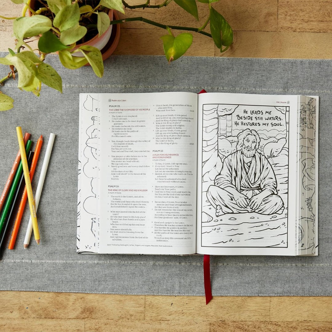 NKJV The Sketchbook Bible Brown Leathersoft