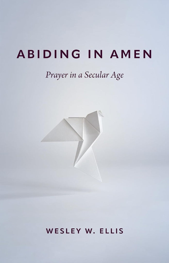 Abiding In Amen - Re-vived