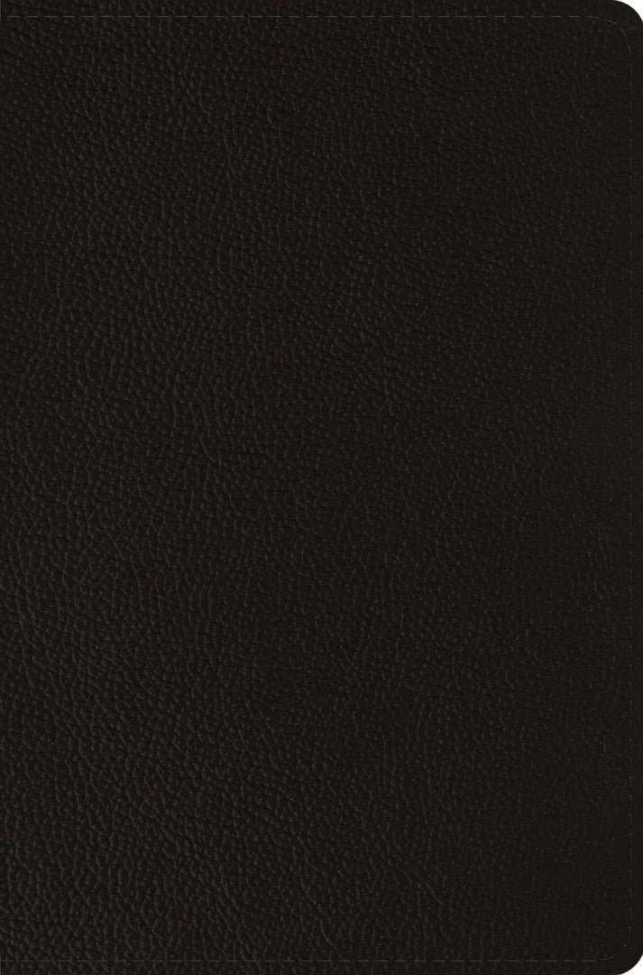ESV Compact Bible, Buffalo Leather, Deep Brown - Re-vived